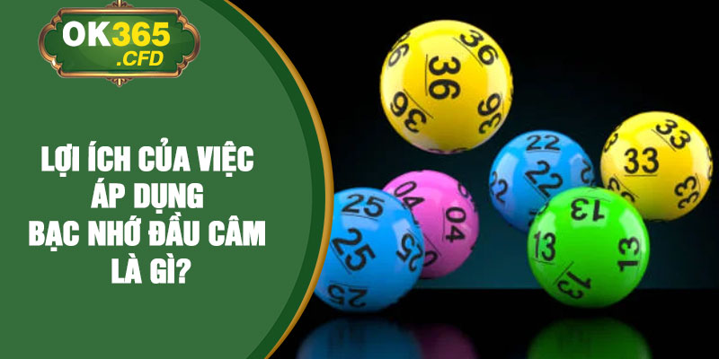 Lợi ích của việc áp dụng bạc nhớ đầu câm là gì?