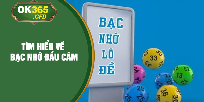 Tìm hiểu về bạc nhớ đầu câm